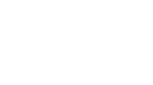 LYME Technology Solutions